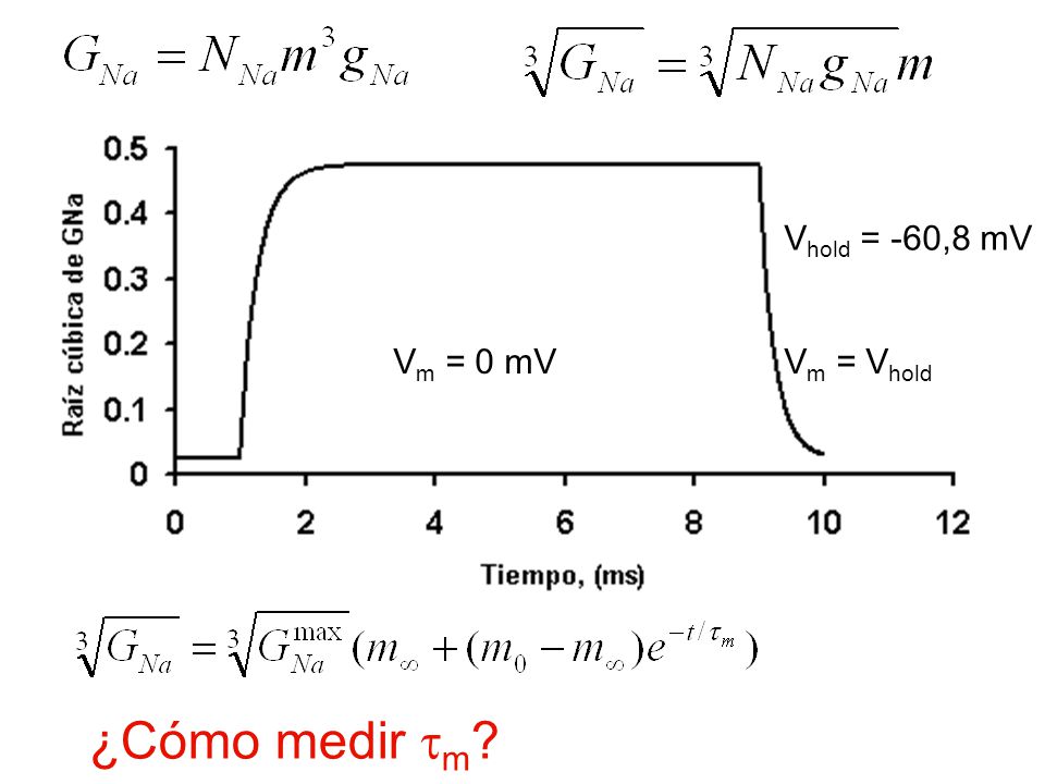 Vhold = -60,8 mV Vm = 0 mV Vm = Vhold ¿Cómo medir m