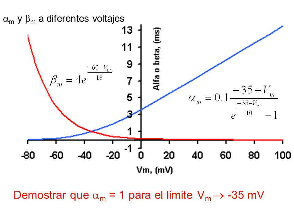 Demostrar que m = 1 para el límite Vm  -35 mV