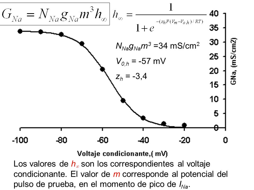 NNagNam3 =34 mS/cm2 V0,h = -57 mV. zh = -3,4.