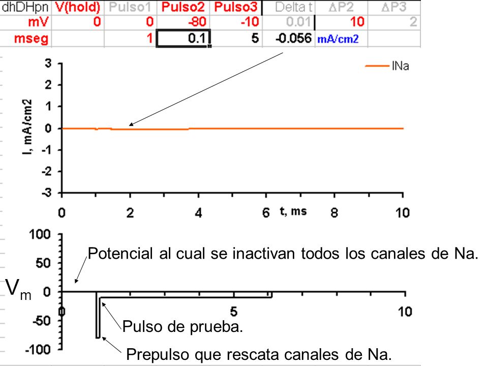 Vm Potencial al cual se inactivan todos los canales de Na.