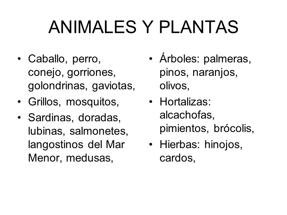 ANIMALES Y PLANTAS Caballo, perro, conejo, gorriones, golondrinas, gaviotas, Grillos, mosquitos,