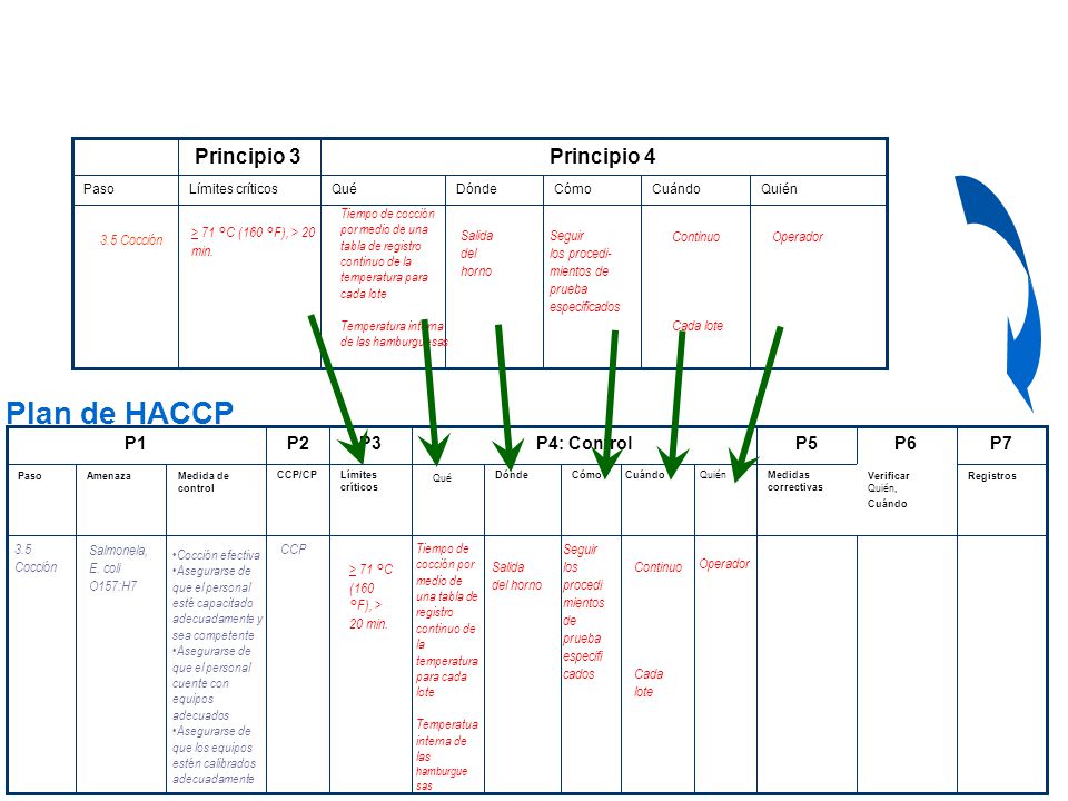 Plan de HACCP Principio 3 Principio 4 P1 P2 P3 P4: Control P5 P6 P7