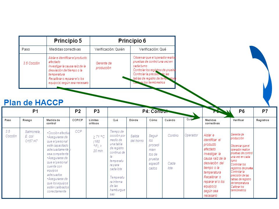 Plan de HACCP Principio 5 Principio 6 P1 P2 P3 P4: Control P5 P6 P7