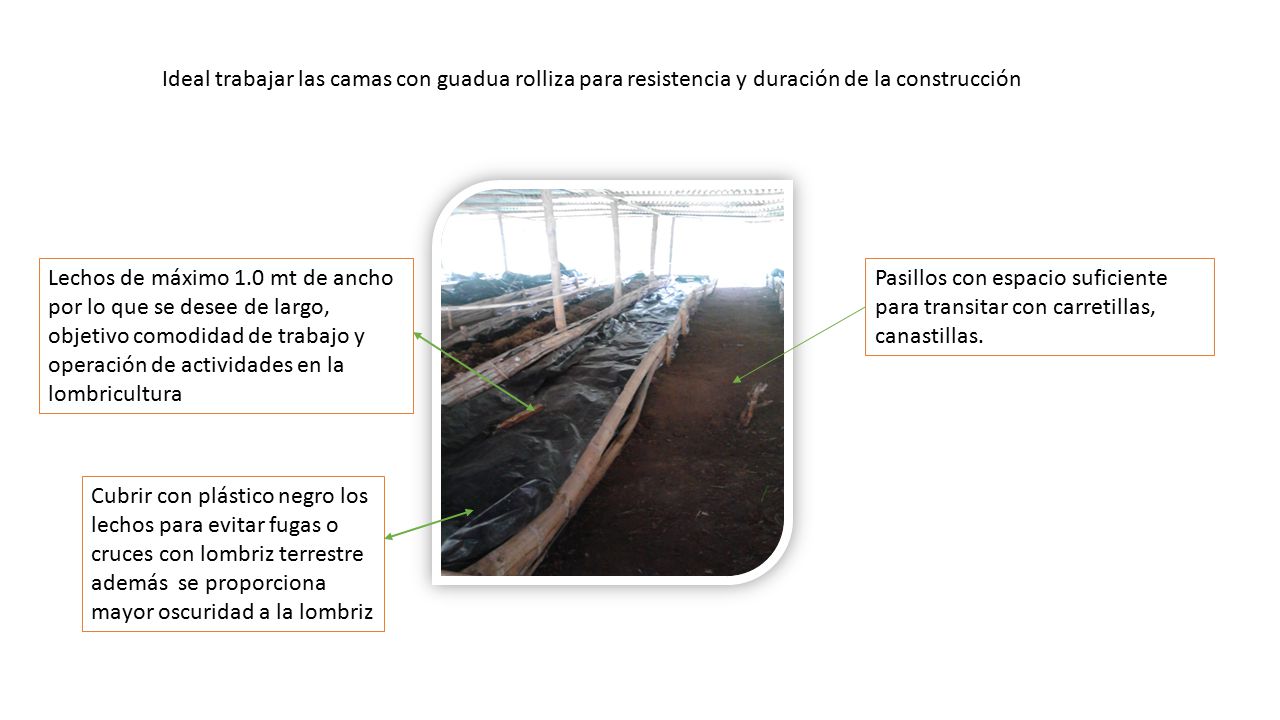Ideal trabajar las camas con guadua rolliza para resistencia y duración de la construcción