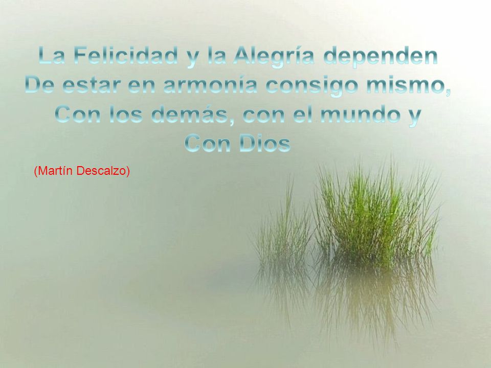 La Felicidad y la Alegría dependen De estar en armonía consigo mismo,