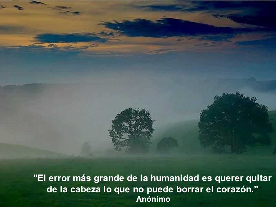 El error más grande de la humanidad es querer quitar de la cabeza lo que no puede borrar el corazón.