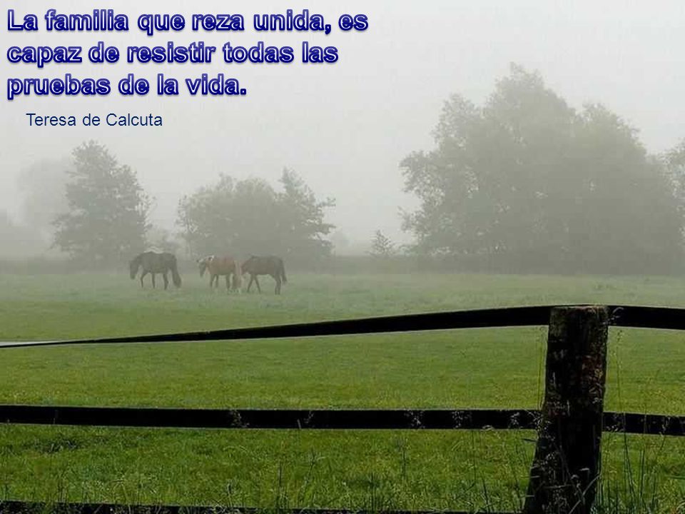 La familia que reza unida, es capaz de resistir todas las pruebas de la vida.