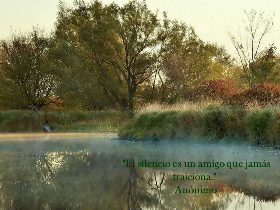 El silencio es un amigo que jamás traiciona.