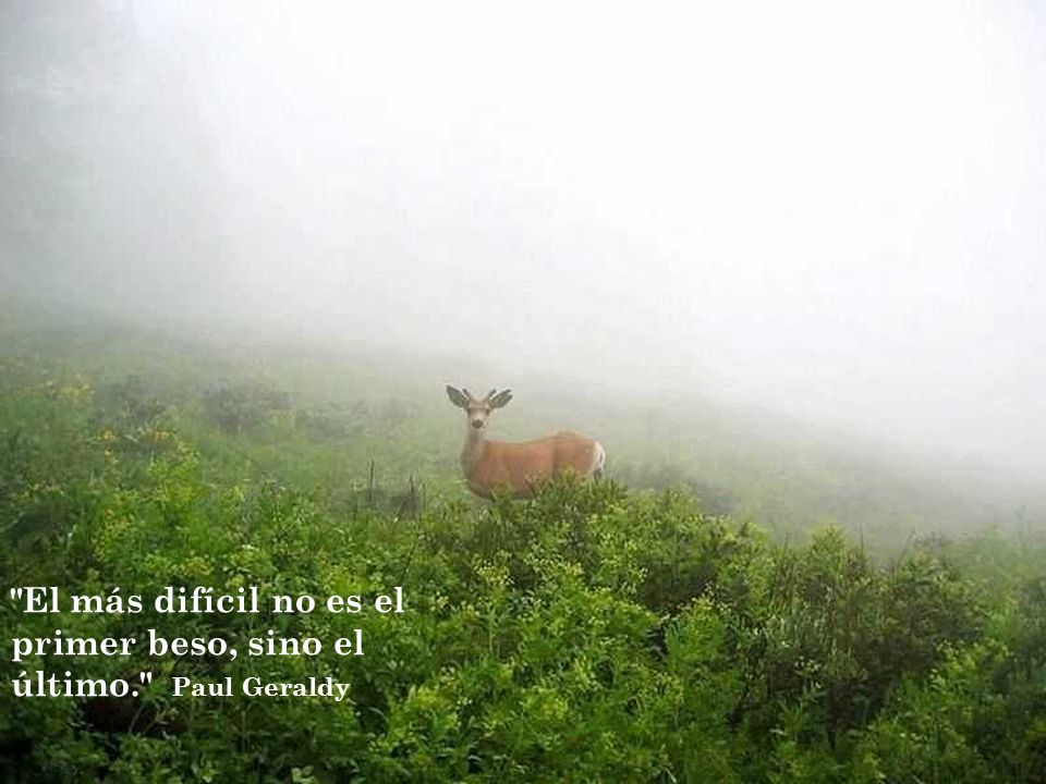 El más difícil no es el primer beso, sino el último. Paul Geraldy