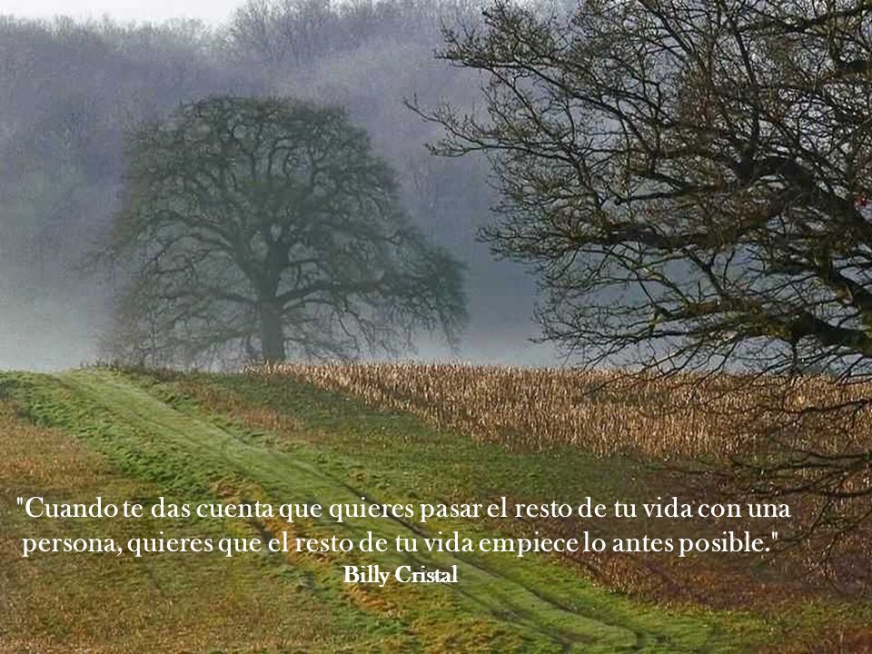 Cuando te das cuenta que quieres pasar el resto de tu vida con una persona, quieres que el resto de tu vida empiece lo antes posible.