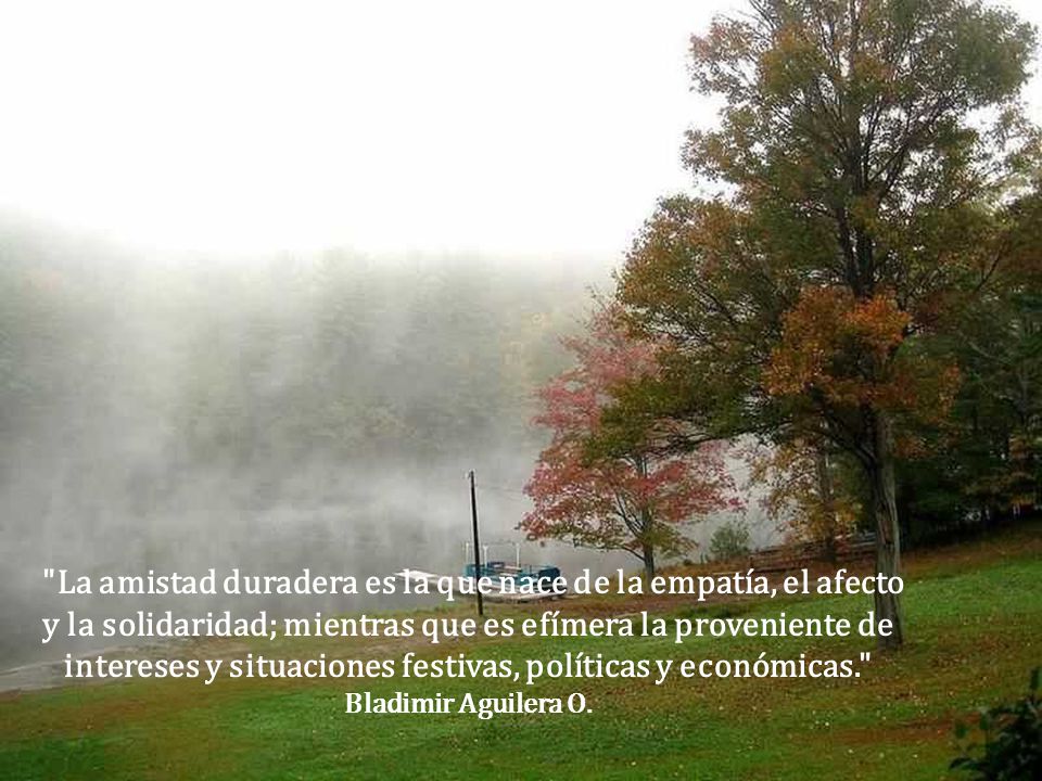 La amistad duradera es la que nace de la empatía, el afecto y la solidaridad; mientras que es efímera la proveniente de intereses y situaciones festivas, políticas y económicas.