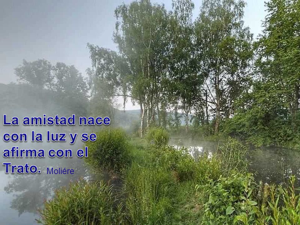 La amistad nace con la luz y se afirma con el