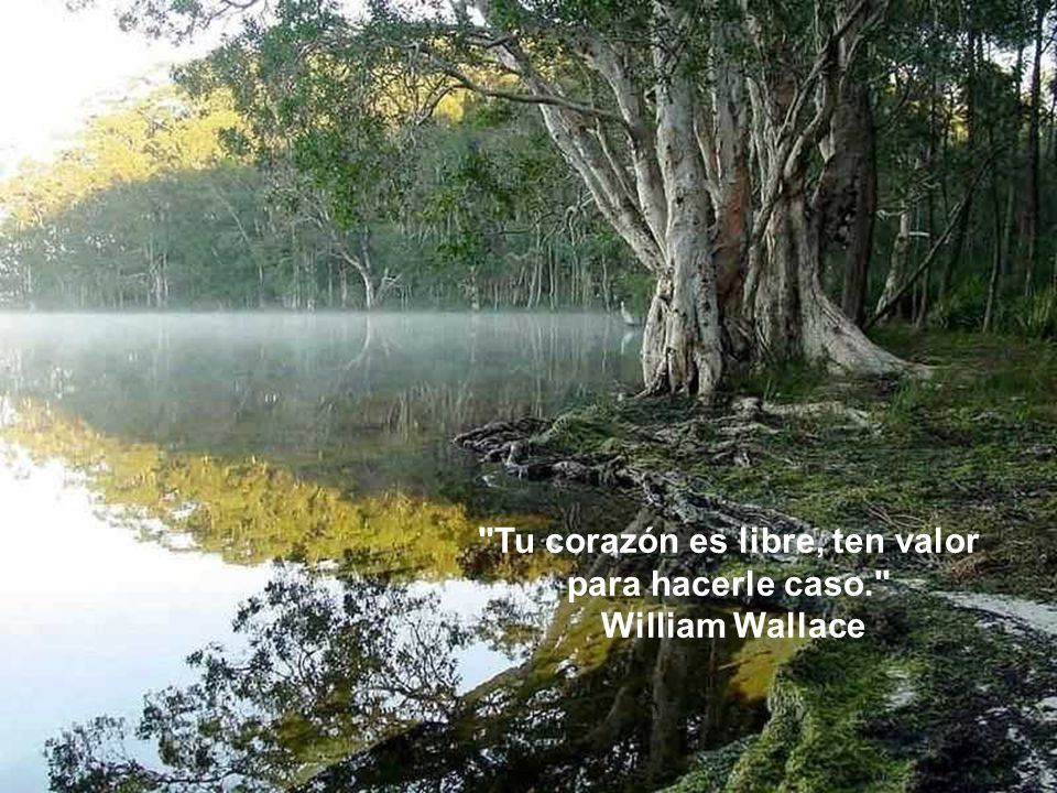 Tu corazón es libre, ten valor para hacerle caso.
