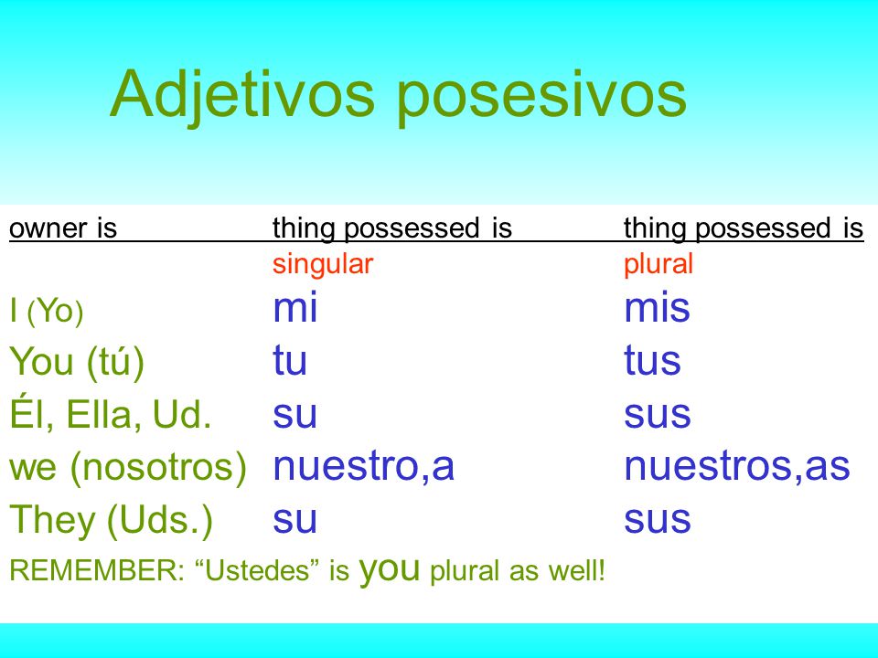 Adjetivos posesivos You (tú) tu tus Él, Ella, Ud. su sus