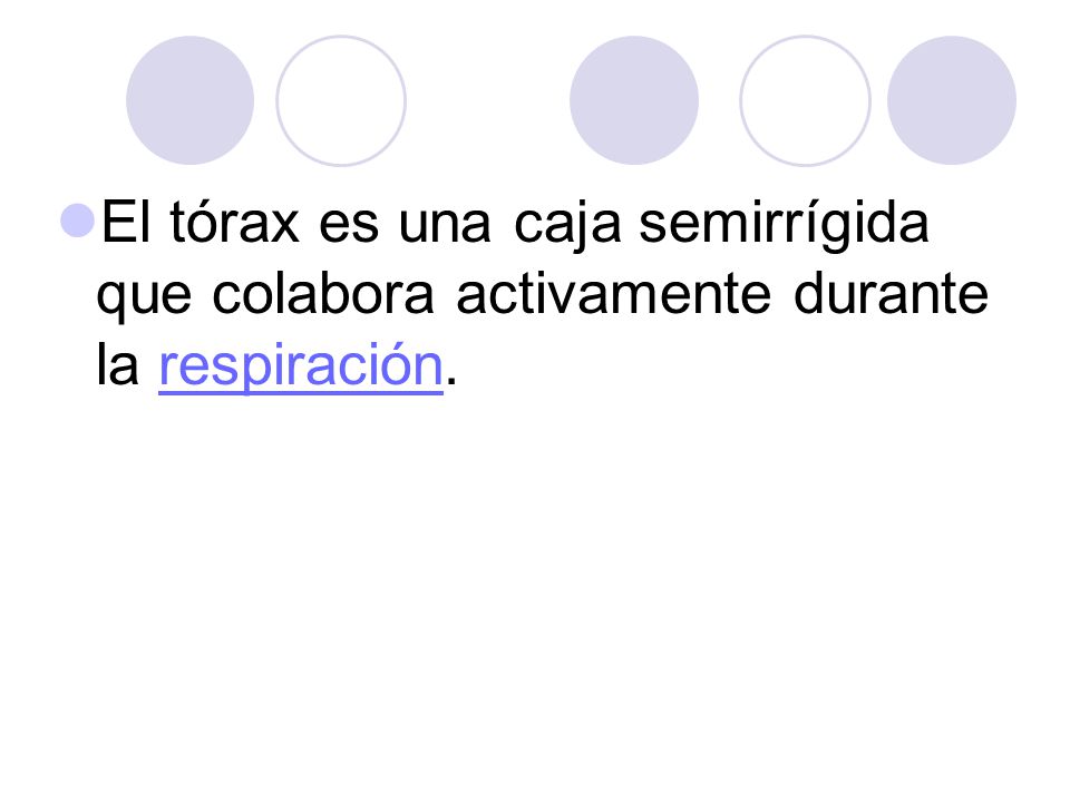 El tórax es una caja semirrígida que colabora activamente durante la respiración.
