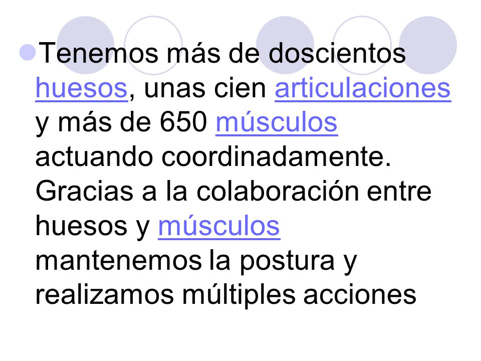 Tenemos más de doscientos huesos, unas cien articulaciones y más de 650 músculos actuando coordinadamente.