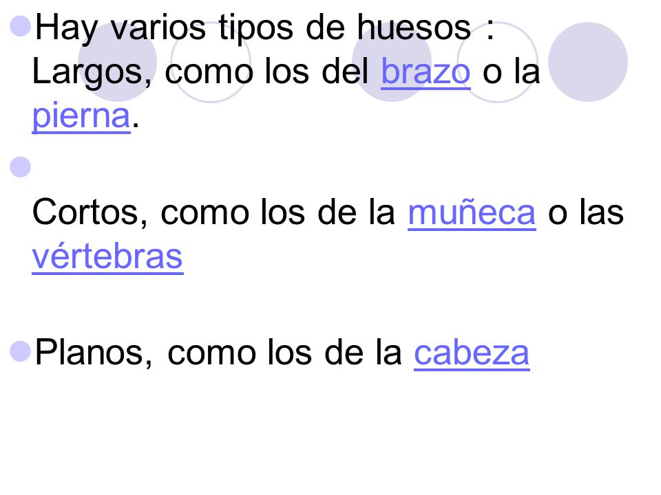 Hay varios tipos de huesos : Largos, como los del brazo o la pierna.