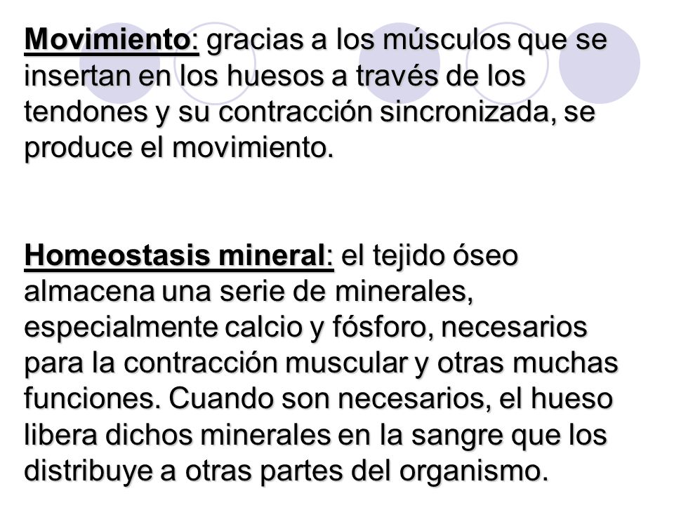 Movimiento: gracias a los músculos que se insertan en los huesos a través de los tendones y su contracción sincronizada, se produce el movimiento.