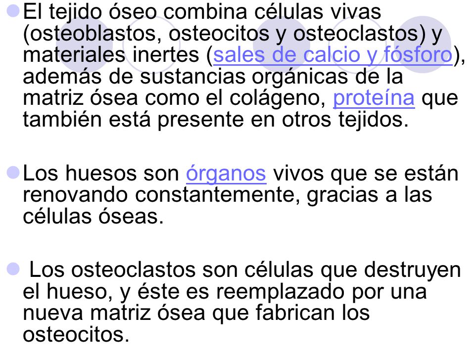 El tejido óseo combina células vivas (osteoblastos, osteocitos y osteoclastos) y materiales inertes (sales de calcio y fósforo), además de sustancias orgánicas de la matriz ósea como el colágeno, proteína que también está presente en otros tejidos.