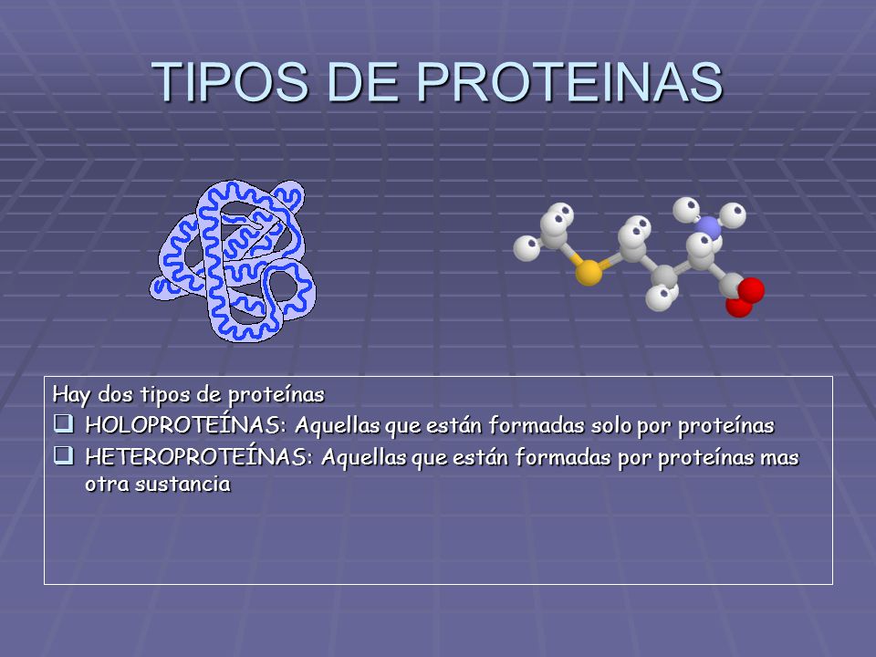 TIPOS DE PROTEINAS Hay dos tipos de proteínas