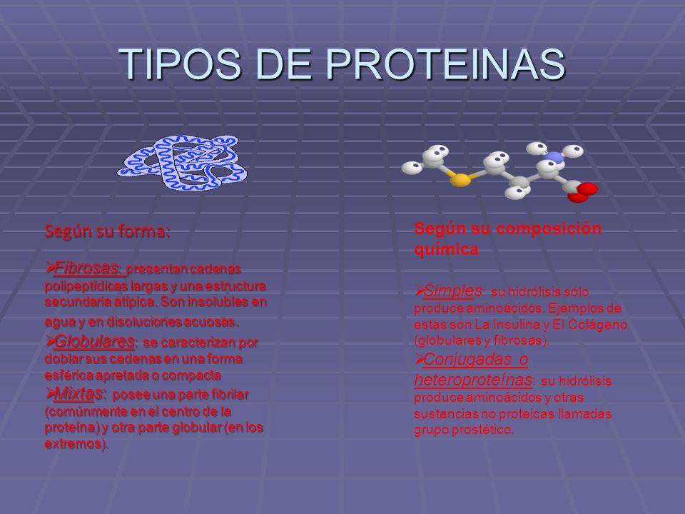 TIPOS DE PROTEINAS Según su forma: Según su composición química