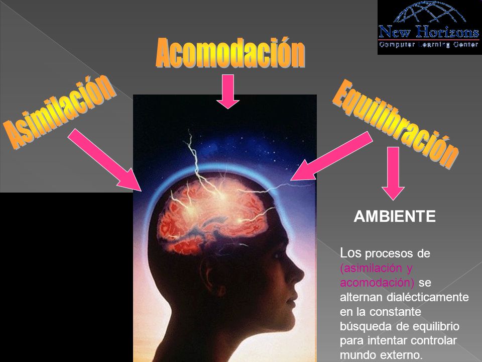Acomodación Asimilación Equilibración AMBIENTE