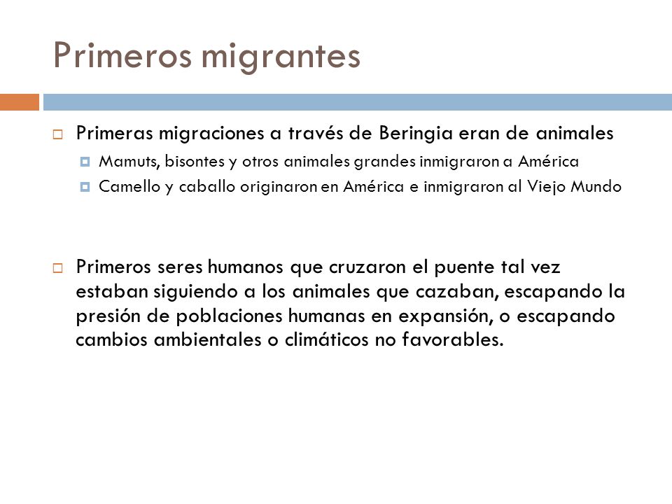 Primeros migrantes Primeras migraciones a través de Beringia eran de animales. Mamuts, bisontes y otros animales grandes inmigraron a América.
