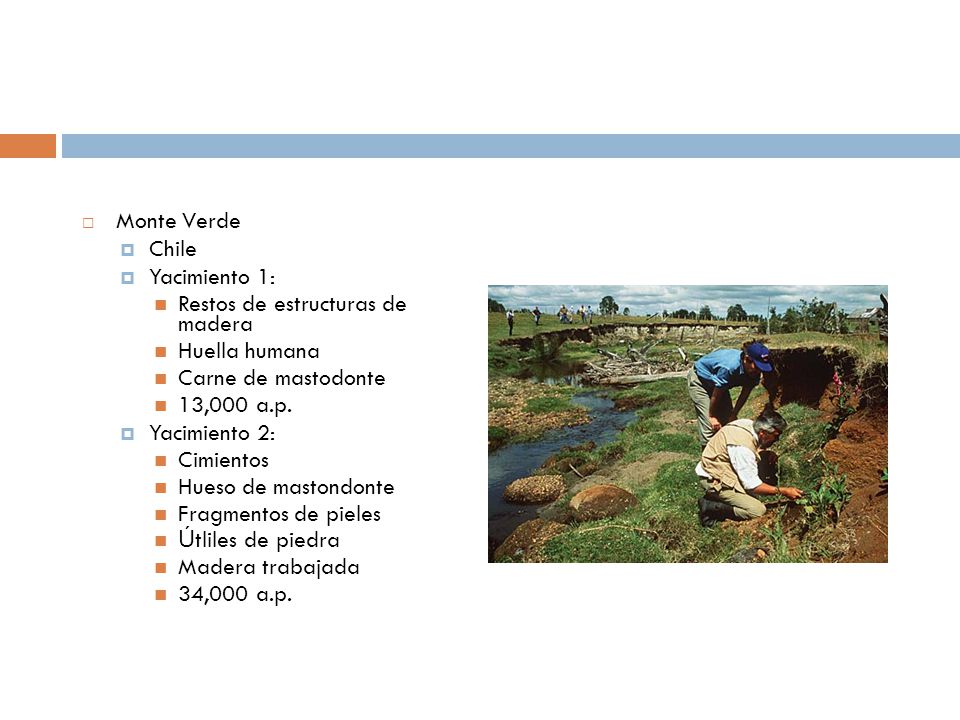 Monte Verde Chile. Yacimiento 1: Restos de estructuras de madera. Huella humana. Carne de mastodonte.