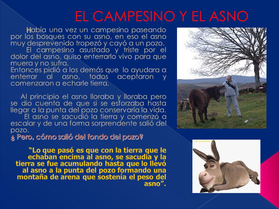 EL CAMPESINO Y EL ASNO Había una vez un campesino paseando por los bosques con su asno, en eso el asno muy desprevenido tropezó y cayó a un pozo.