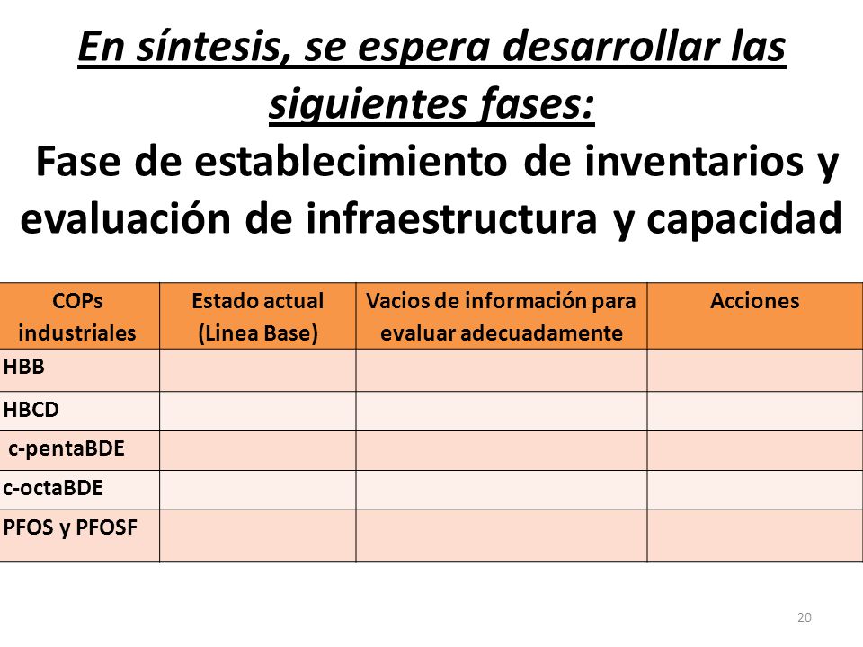 En síntesis, se espera desarrollar las siguientes fases: Fase de establecimiento de inventarios y evaluación de infraestructura y capacidad