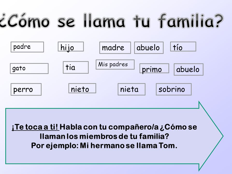 ¿Cómo se llama tu familia Por ejemplo: Mi hermano se llama Tom.