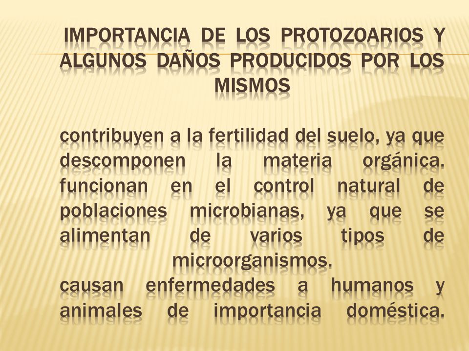 IMPORTANCIA DE LOS PROTOZOARIOS Y ALGUNOS DAÑOS PRODUCIDOS POR LOS MISMOS contribuyen a la fertilidad del suelo, ya que descomponen la materia orgánica.
