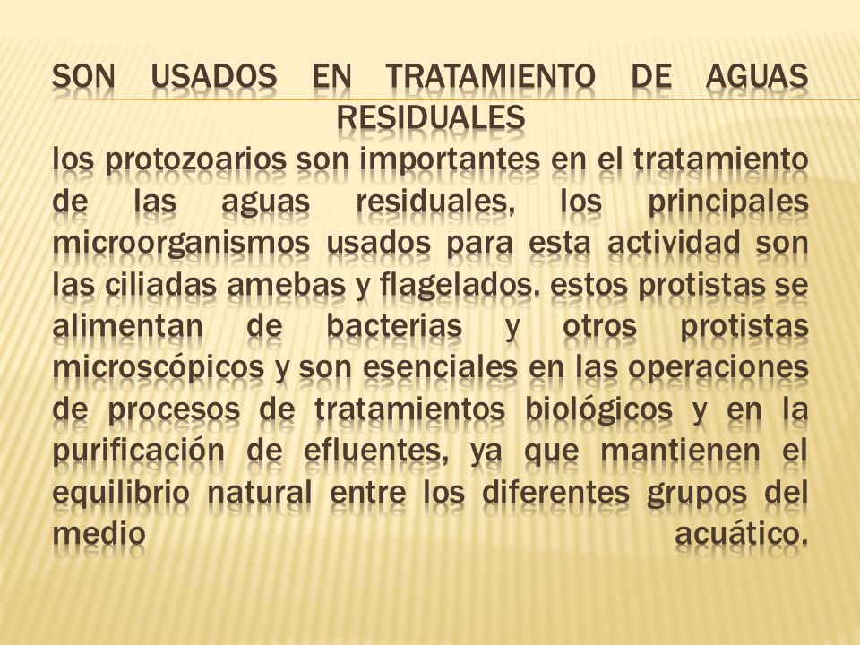 son usados en tratamiento de aguas residuales los protozoarios son importantes en el tratamiento de las aguas residuales, los principales microorganismos usados para esta actividad son las ciliadas amebas y flagelados.