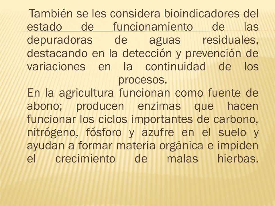 También se les considera bioindicadores del estado de funcionamiento de las depuradoras de aguas residuales, destacando en la detección y prevención de variaciones en la continuidad de los procesos.