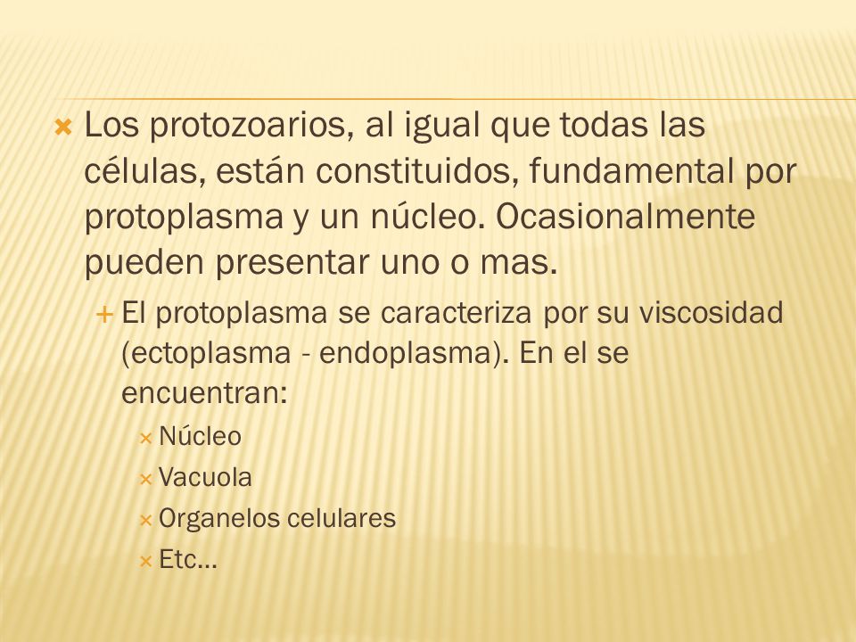 Los protozoarios, al igual que todas las células, están constituidos, fundamental por protoplasma y un núcleo. Ocasionalmente pueden presentar uno o mas.