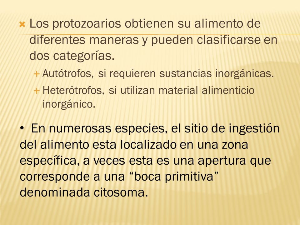 Los protozoarios obtienen su alimento de diferentes maneras y pueden clasificarse en dos categorías.