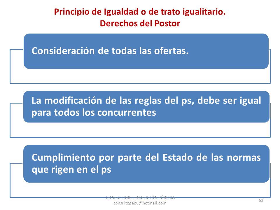 Principio de Igualdad o de trato igualitario. Derechos del Postor