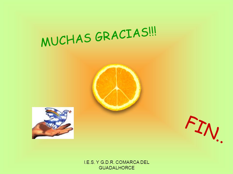 I.E.S. Y G.D.R. COMARCA DEL GUADALHORCE