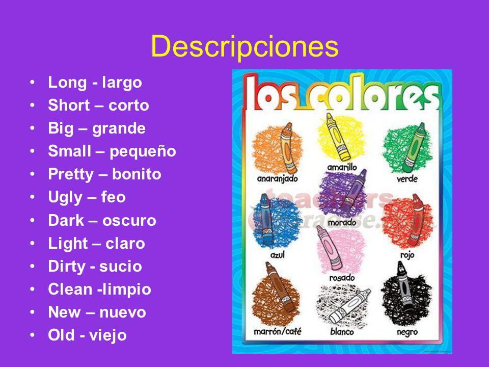 Descripciones Long - largo Short – corto Big – grande Small – pequeño