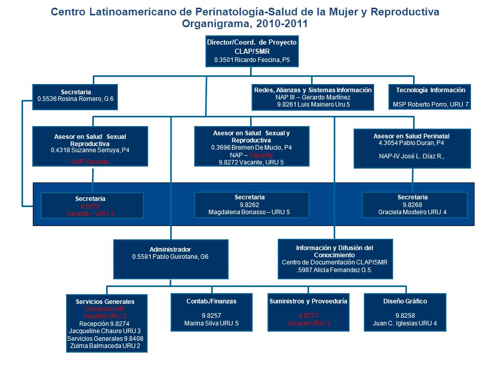 Director/Coord. de Proyecto Redes, Alianzas y Sistemas Información