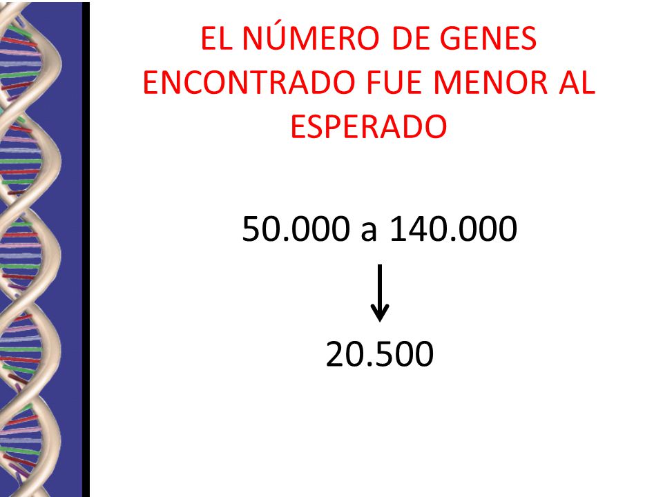 EL NÚMERO DE GENES ENCONTRADO FUE MENOR AL ESPERADO