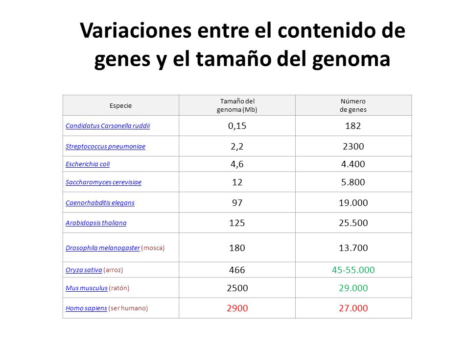 Variaciones entre el contenido de genes y el tamaño del genoma