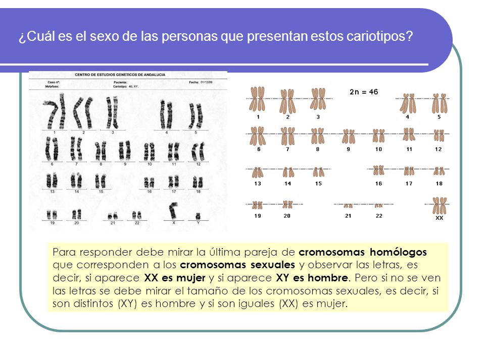 ¿Cuál es el sexo de las personas que presentan estos cariotipos