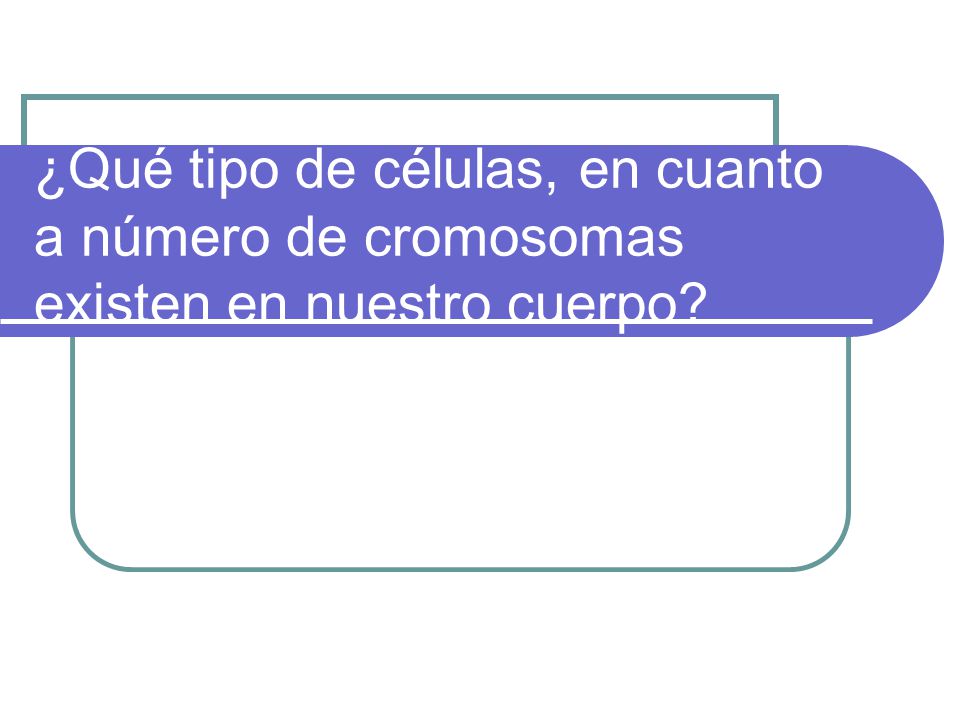 ¿Qué tipo de células, en cuanto a número de cromosomas existen en nuestro cuerpo