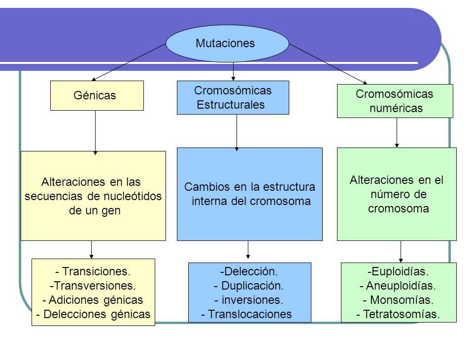 Cambios en la estructura interna del cromosoma Alteraciones en el