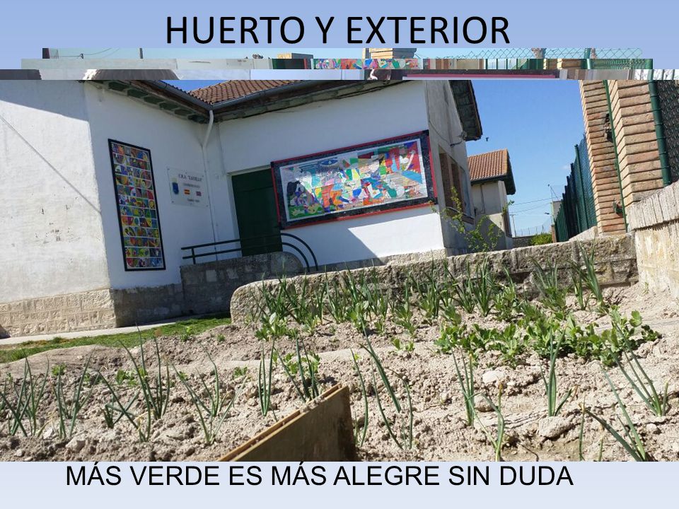 HUERTO Y EXTERIOR MÁS VERDE ES MÁS ALEGRE SIN DUDA