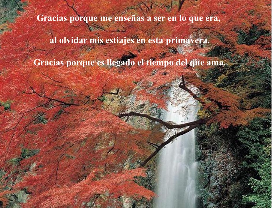 Gracias porque me enseñas a ser en lo que era,