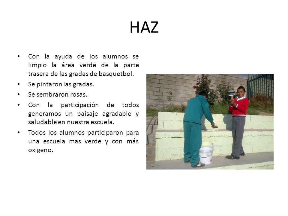 HAZ Con la ayuda de los alumnos se limpio la área verde de la parte trasera de las gradas de basquetbol.