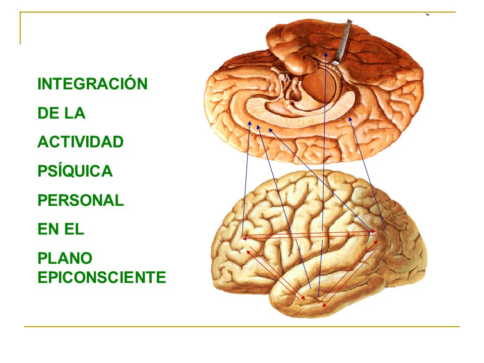 INTEGRACIÓN DE LA ACTIVIDAD PSÍQUICA PERSONAL EN EL PLANO EPICONSCIENTE