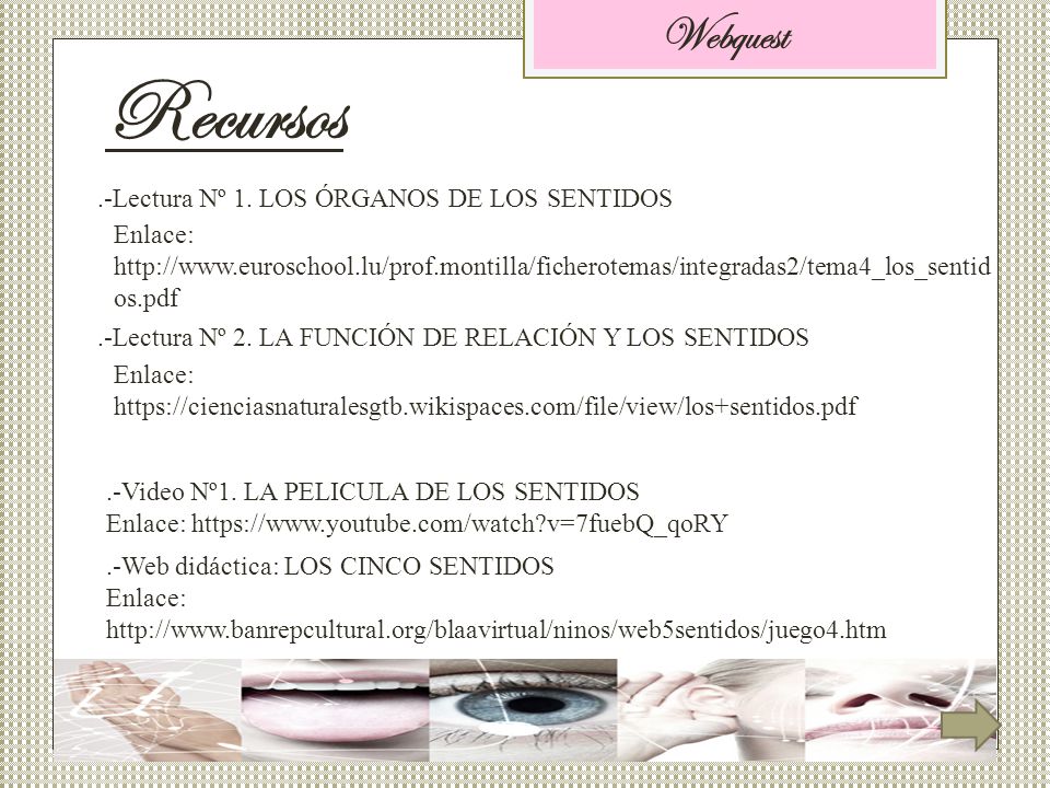 Recursos Webquest .-Lectura Nº 1. LOS ÓRGANOS DE LOS SENTIDOS